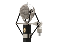 Blue Dragonfly Blue Dragonfly